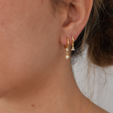 Tallullah Hoops - 14K Gold Plated
