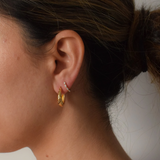 Evie Hoops - 14K Gold Plated
