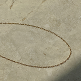 Duo Link Chain - 14K Gold PVD Plated