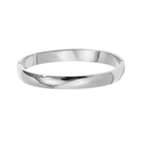 Tara Bangle - Stainless Steel