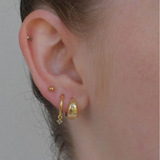 Olive Hoops - 14K Gold Plated