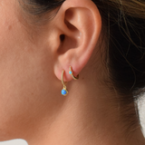 Tabitha Hoops - 14K Gold Plated