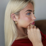 Trina Hoops - 14K Gold Plated